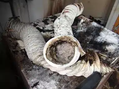 Dryer vent cleaning preventing fire hazards in Catalina Arizona homes